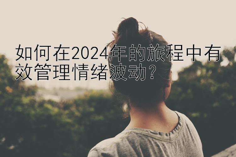 如何在2024年的旅程中有效管理情绪波动？