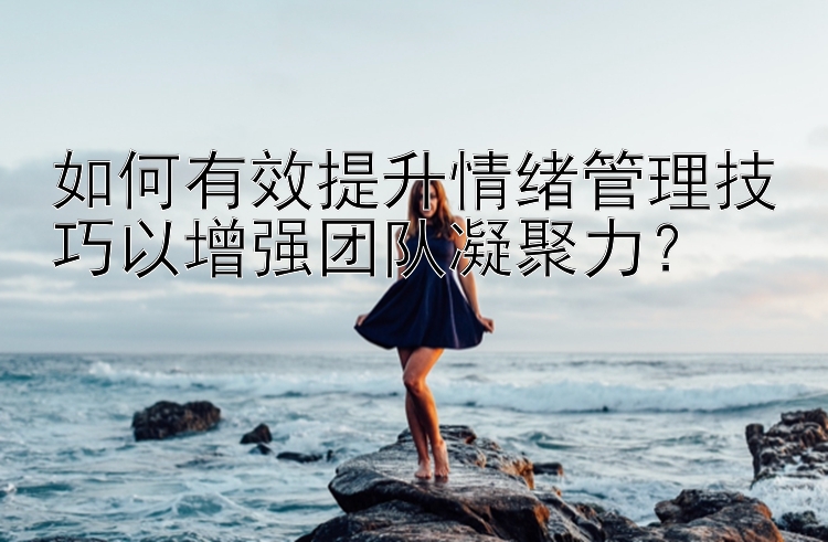 如何有效提升情绪管理技巧以增强团队凝聚力？